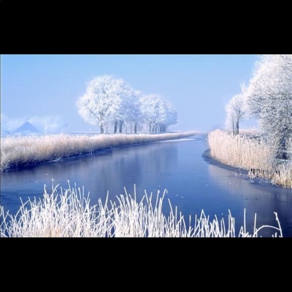 Meet your Posher, Jacqueline - Picture 1 of 1